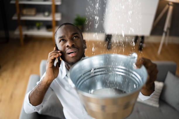 Best Water damage cleanup near me  in Freeport, IL