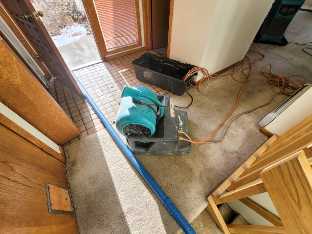 Best Water damage restoration near me  in Freeport, IL