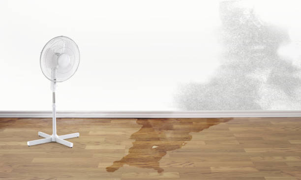 Best 24-hour water damage restoration  in Freeport, IL