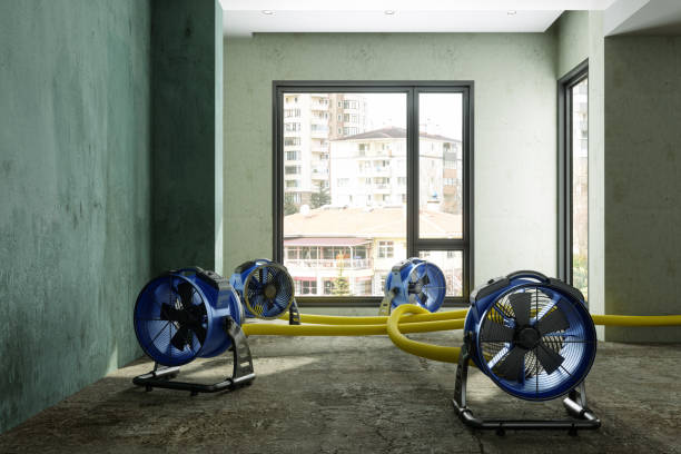 Best Flood restoration services  in Freeport, IL